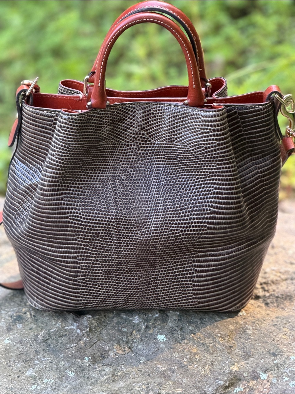 Dooney & Bourke Embossed Lizard Leather Large Satchel Crossbody Brown Bag